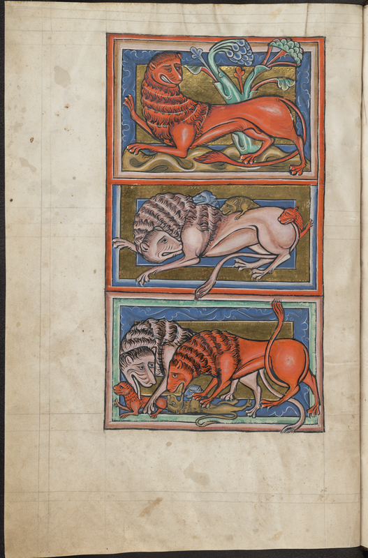Lions from Bestiary, about 1225–1250, English. Parchment, 11 5/8 × 7 1/2 in. The Bodleian Libraries, University of Oxford, MS. Bodl. 764, fols. 2v-3r Lions from Bestiary, about 1225–1250, English. Parchment, 11 5/8 × 7 1/2 in. The Bodleian Libraries, University of Oxford, MS. Bodl. 764, fols. 2v-3r
