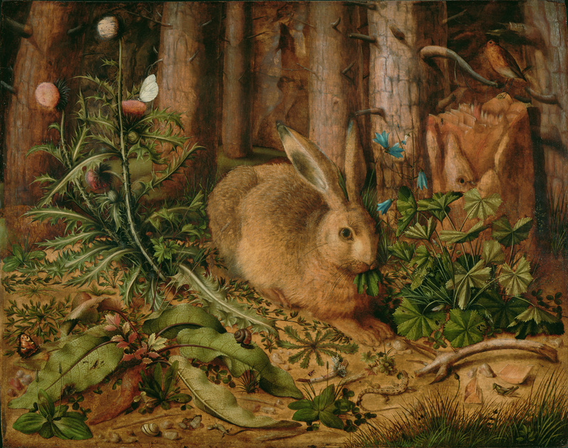 A Hare in the Forest, about 1585, Hans Hoffmann. Oil on panel, 24 1/2 × 30 7/8 in. The J. Paul Getty Museum, Los Angeles, 2001.12. Digital image courtesy of the Getty’s Open Content Program A Hare in the Forest, about 1585, Hans Hoffmann. Oil on panel, 24 1/2 × 30 7/8 in. The J. Paul Getty Museum, Los Angeles, 2001.12. Digital image courtesy of the Getty’s Open Content Program