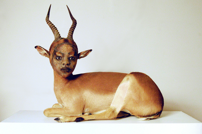 Pray, 2012, Kate Clark. Antelope hide, horns, foam, clay, pins, thread, rubber eyes, 36 × 33 × 17 in. Chet Robachinski & Jerry Slipman. © Kate Clark Pray, 2012, Kate Clark. Antelope hide, horns, foam, clay, pins, thread, rubber eyes, 36 × 33 × 17 in. Chet Robachinski & Jerry Slipman. © Kate Clark
