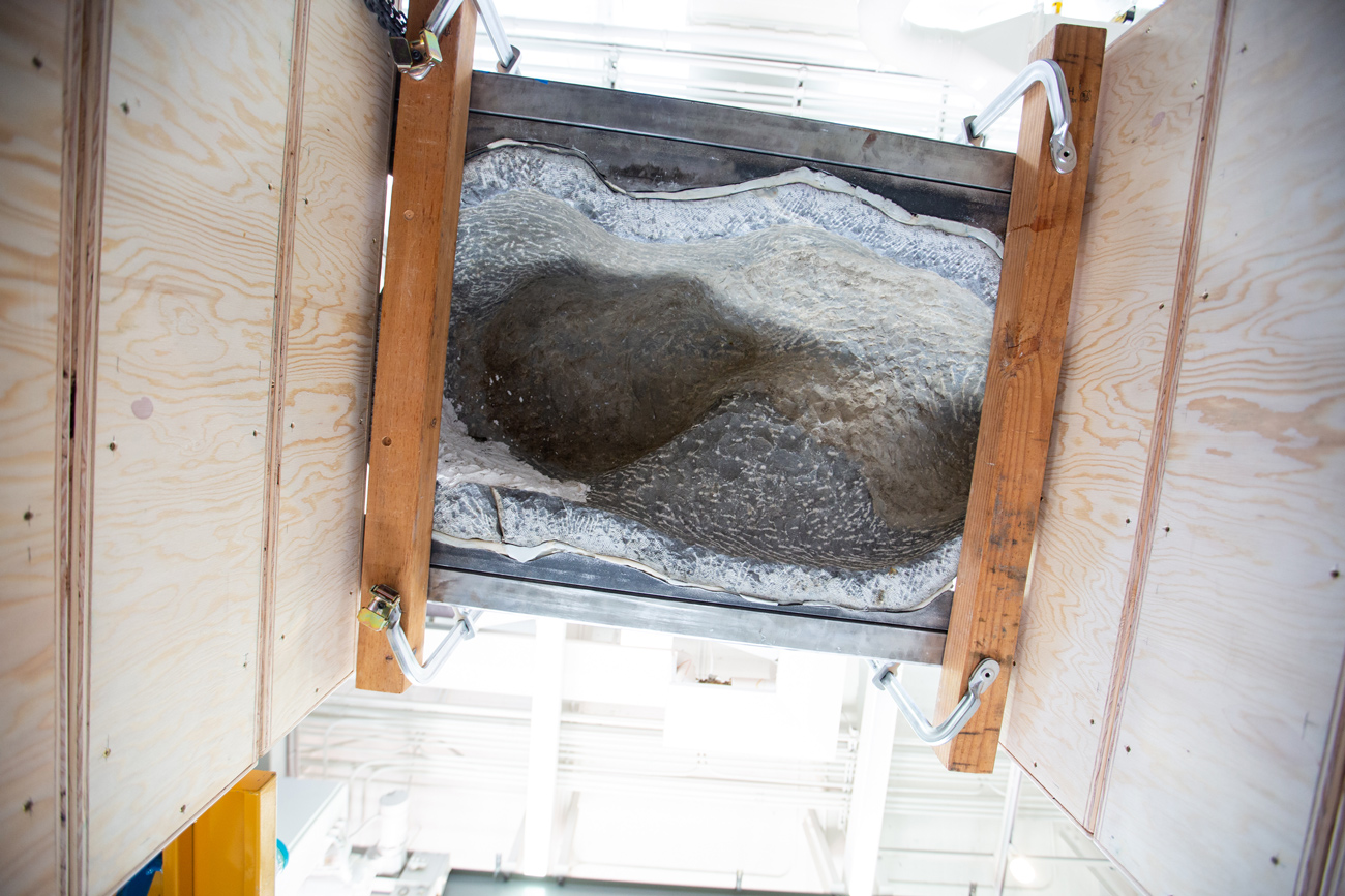 A view of the underside of the rock.