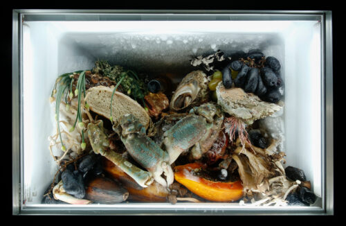 When Art Is Alive, How Do You Conserve It?