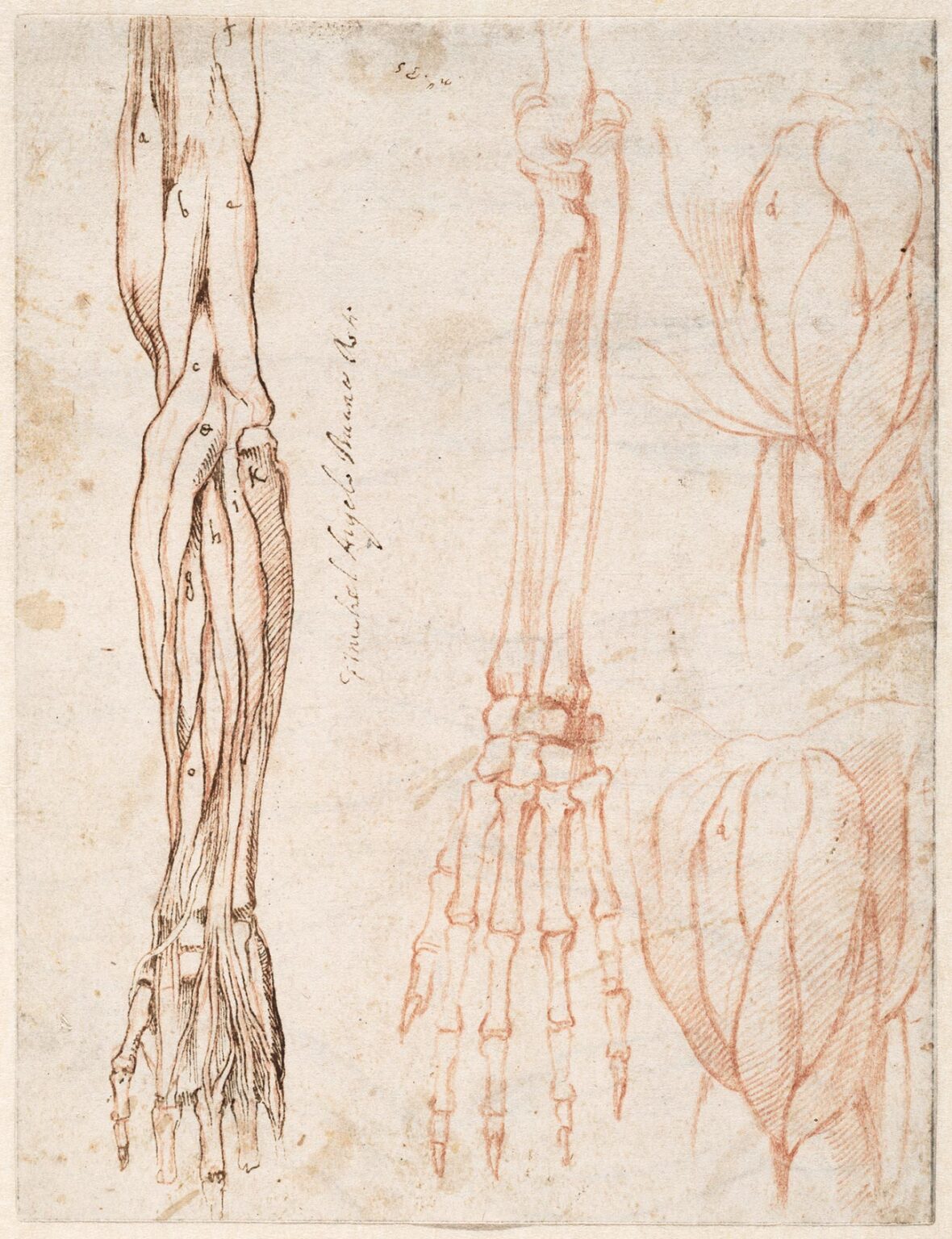 Rare Michelangelo Drawings on View at the Getty Center Getty Iris