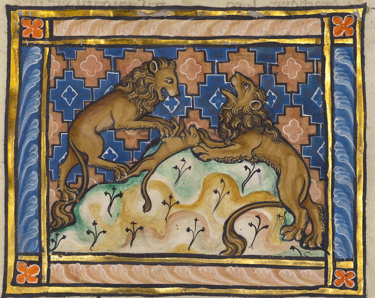 Illustrated manuscript of two maned lions with a dead cub on a rock, bordered with gold leaf.