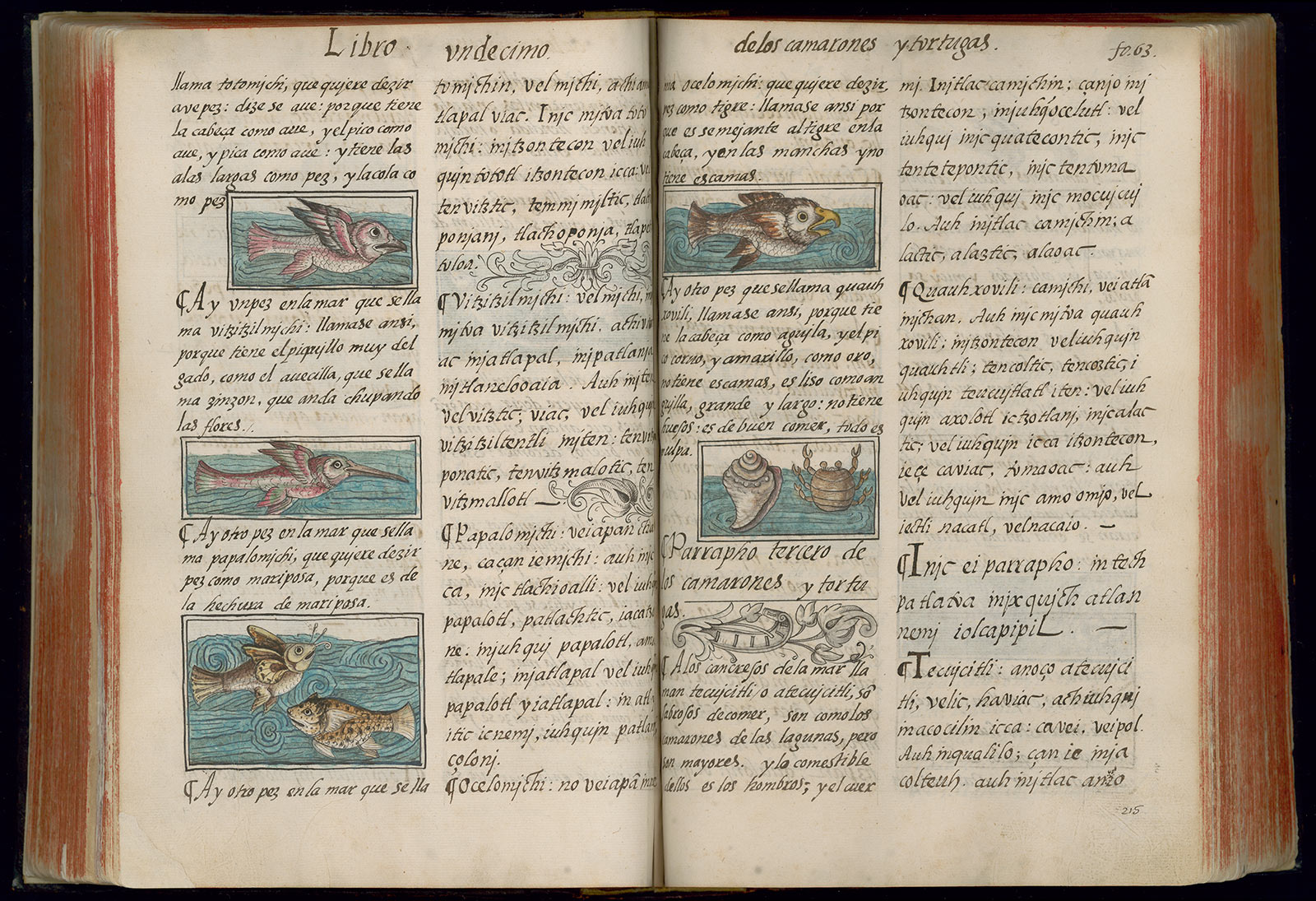 An opened book showing text on both pages with illustrations of fish.