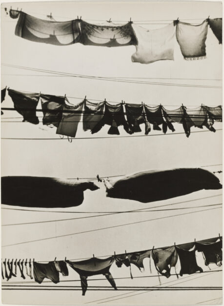 Reflections: Mazie Harris on Walker Evans