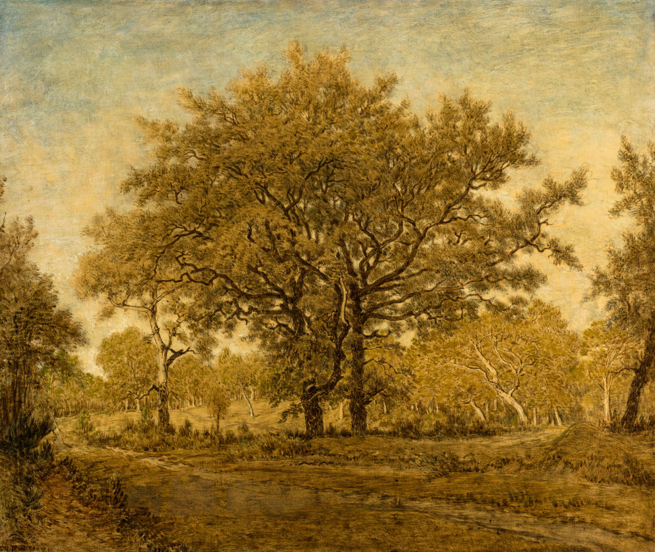Sepia, two large trees in a field