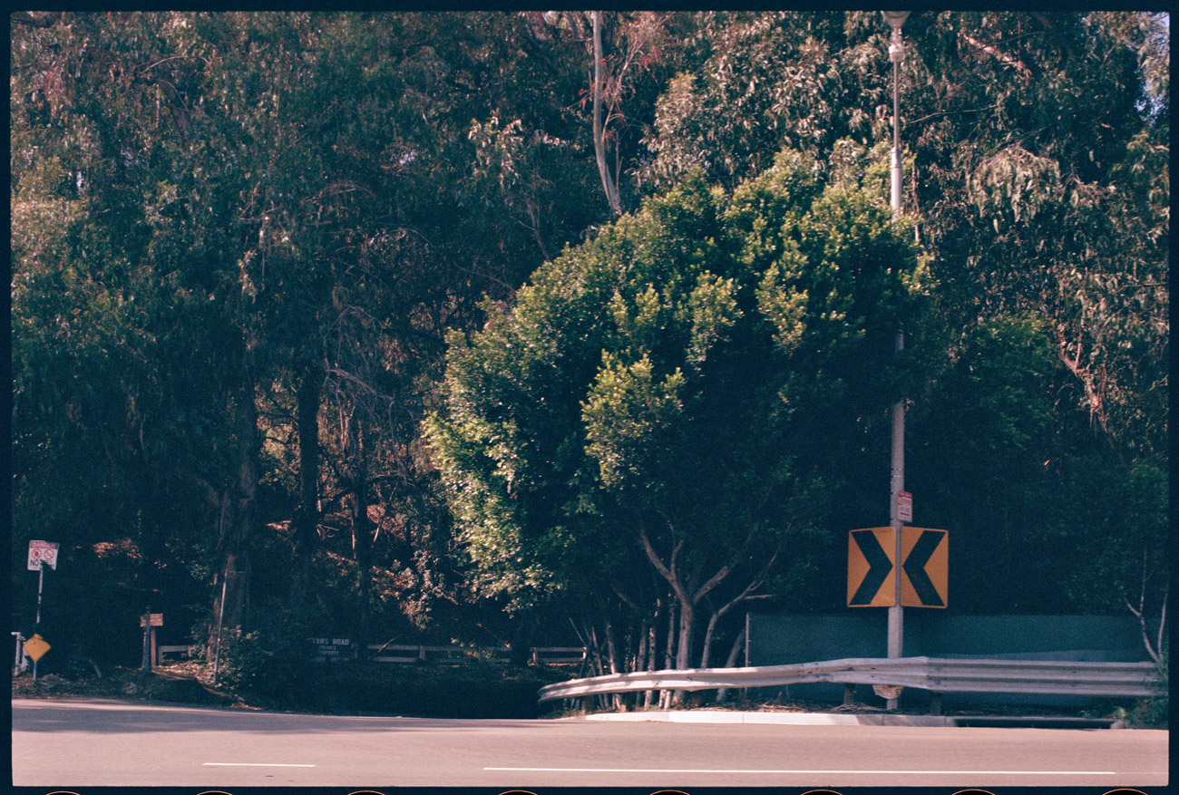 A road curves to the right, with tall leafy trees on each side