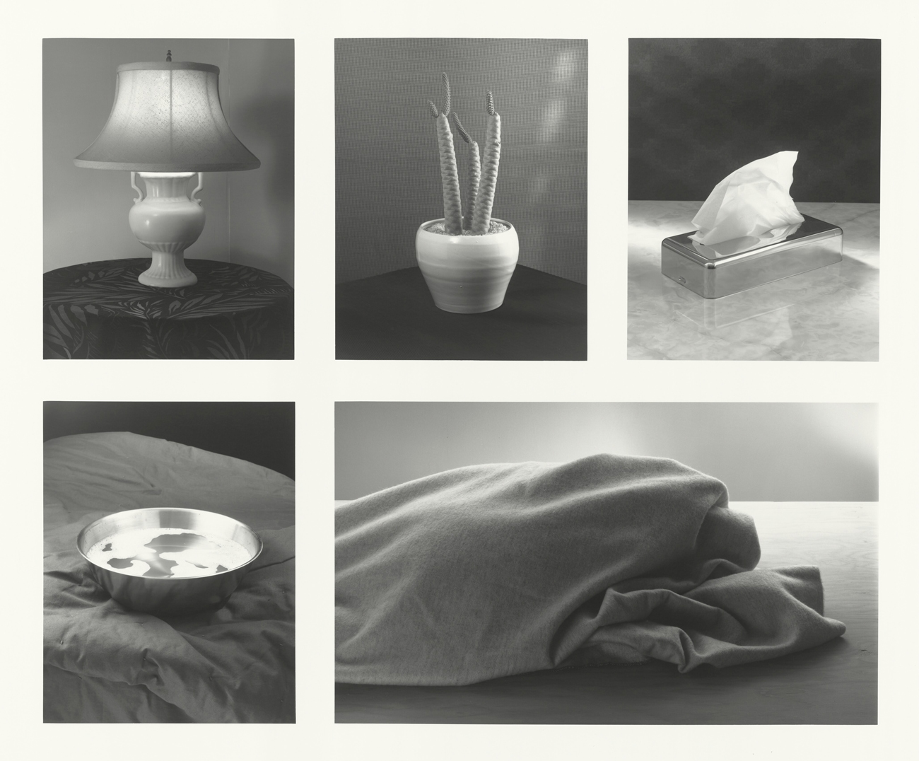 Grid of five black and white photos: a lamp, a flower pot growing a desert plant, a box of tissues, a bowl of water, and a rumpled blanket
