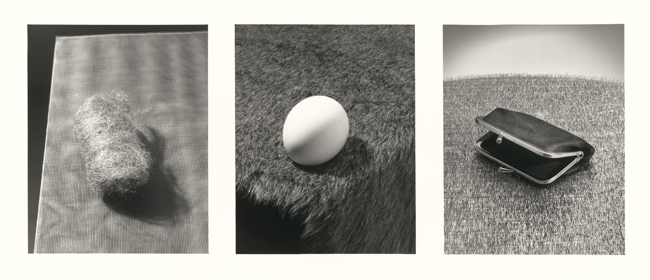 Grid of three black and white photos: a piece of steel wool on a table, an egg on a furry fabric, and an open coin purse