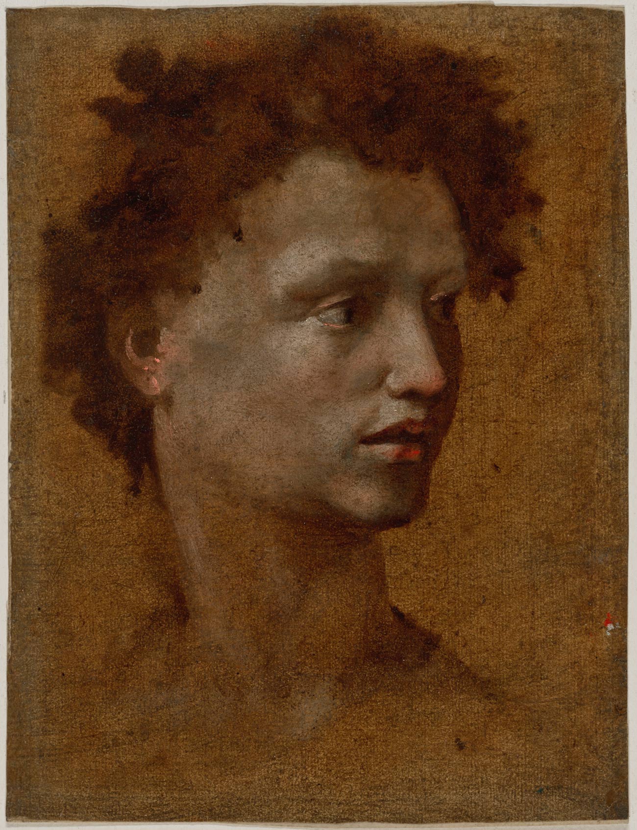 The face of the youth is finely detailed, his curly hair and neck are abstract