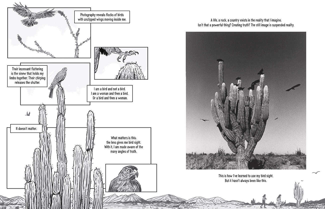 Left is a drawing of a cactus with birds and close up of claws, right is a photograph of a cactus with black birds flying around it.