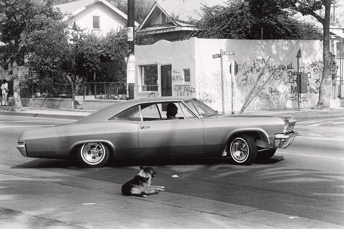 A black and white photo of a man in a classic car. A dog lies in the road in front of the car.