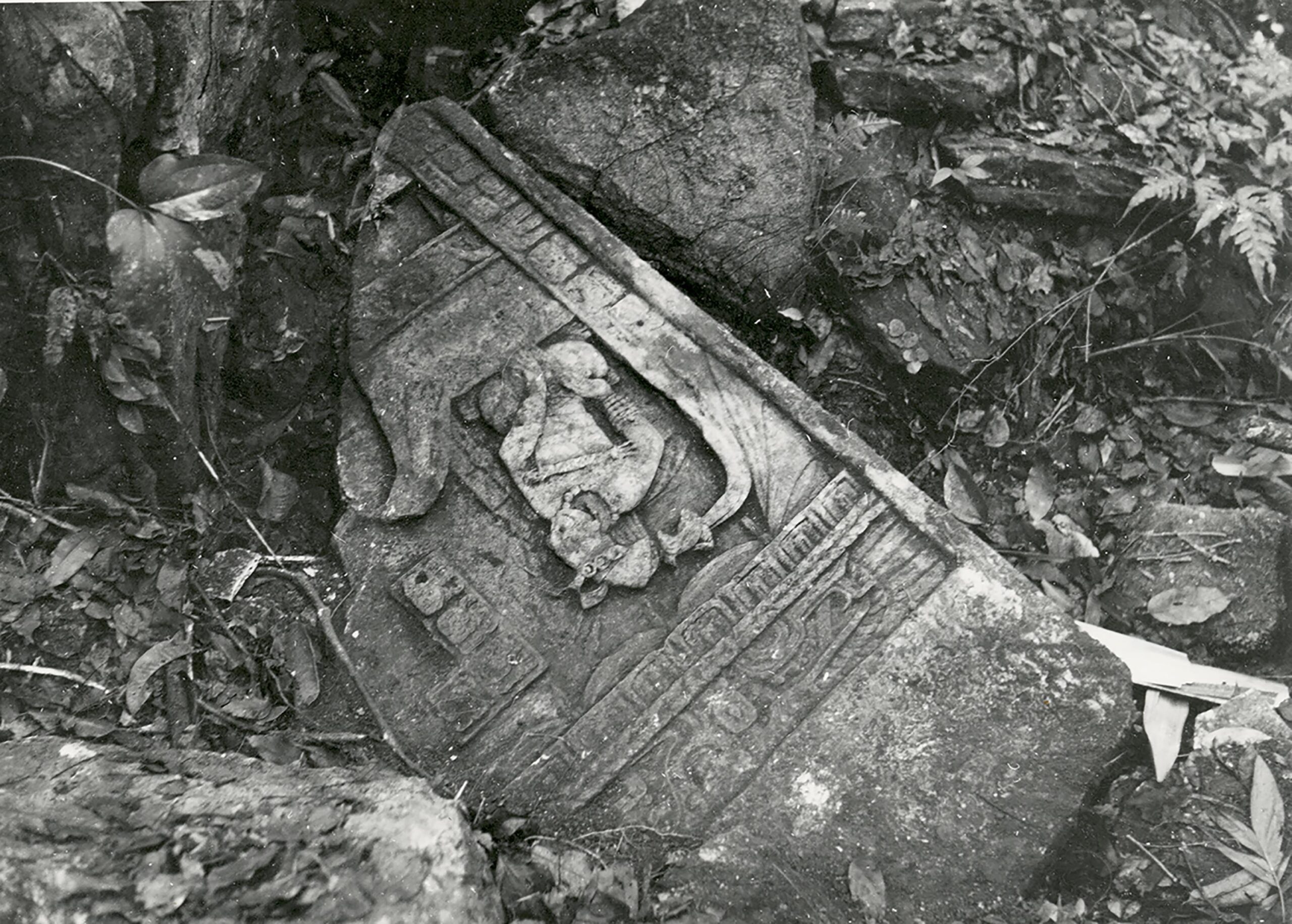 Dana Lamb’s photograph of Laxtunich Lintel 2, top section April 1950 © New York, American Museum of Natural History Photographer unknown. Black and white photograph of the top section of Laxtunich Lintel 2.