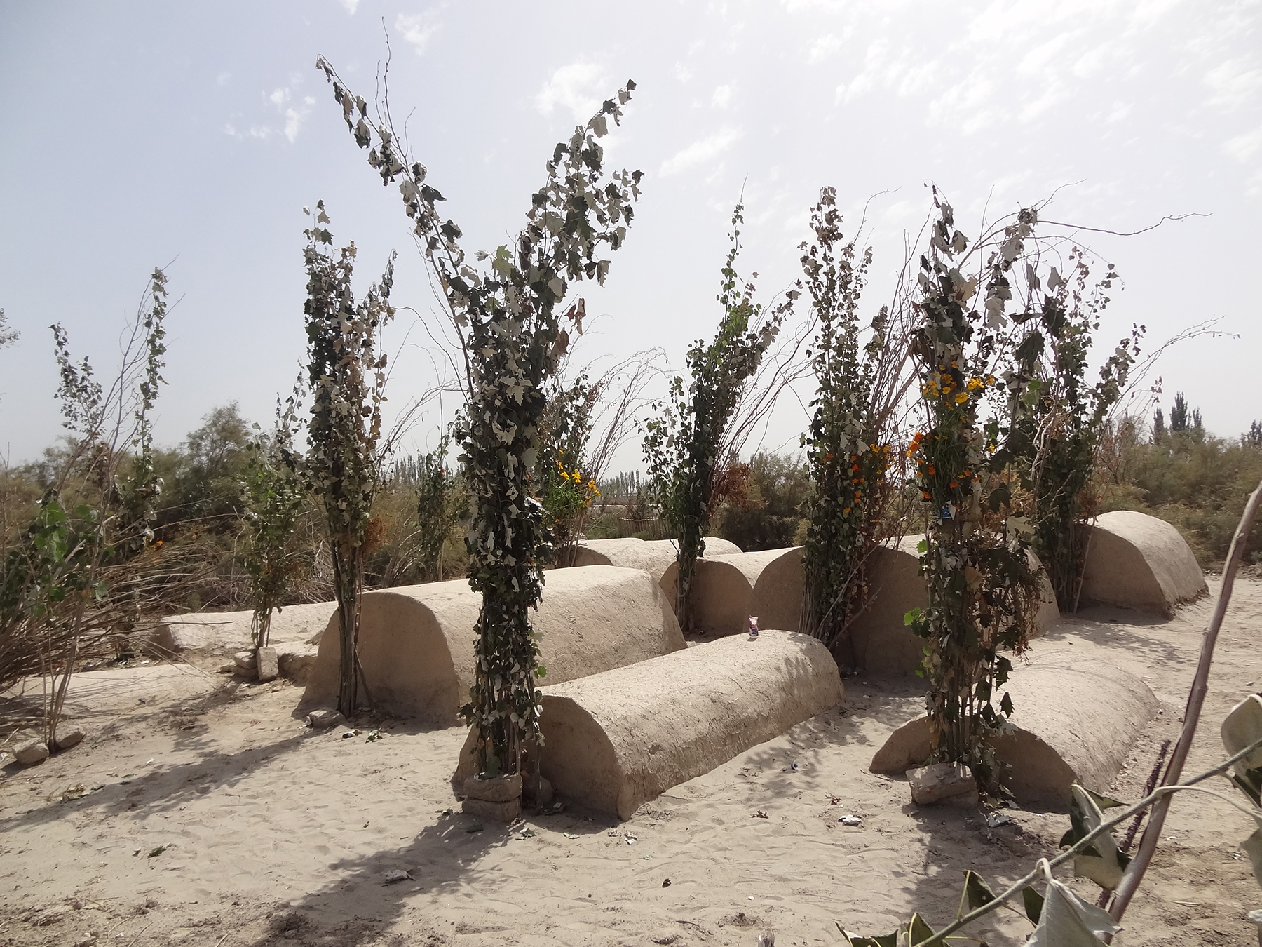 a photograph of plain rounded graves on the ground with plants at one end